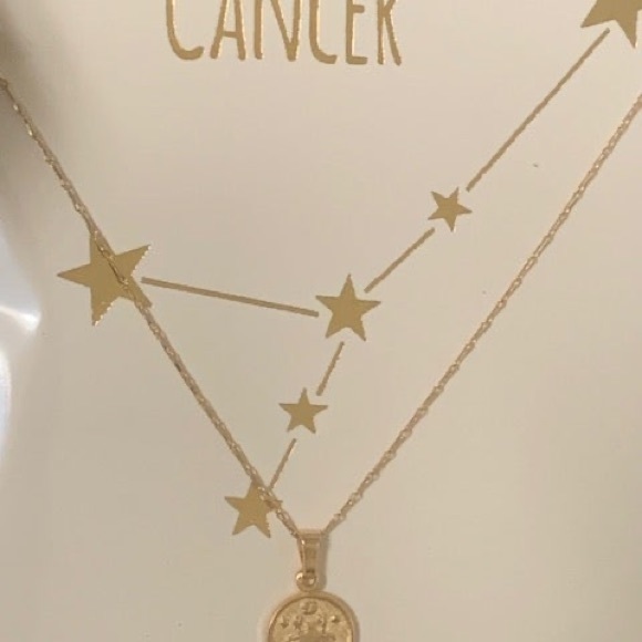 Tiny Zodiac Coin Necklace - Picture 8 of 11